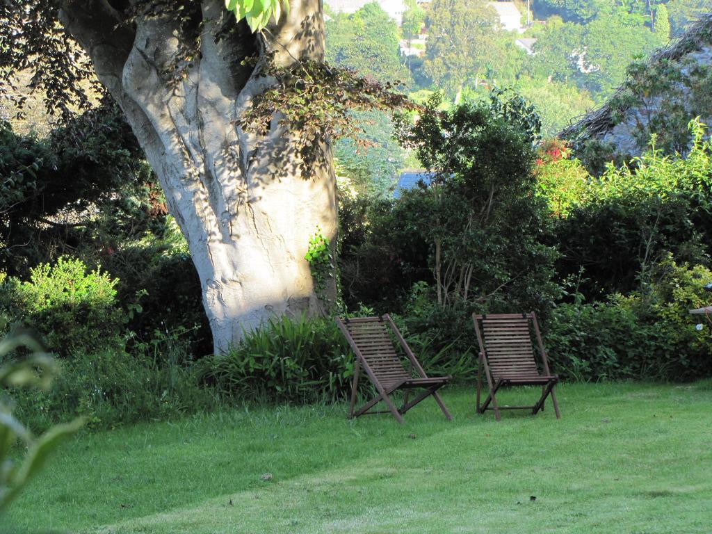 Bed and Breakfast Tregarth House St Austell Esterno foto